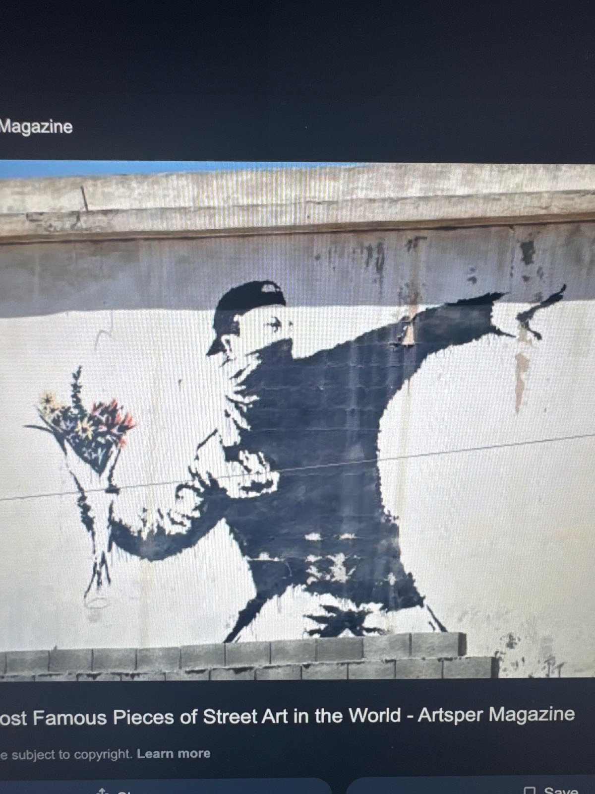Love is in the Air (Flower Thrower)